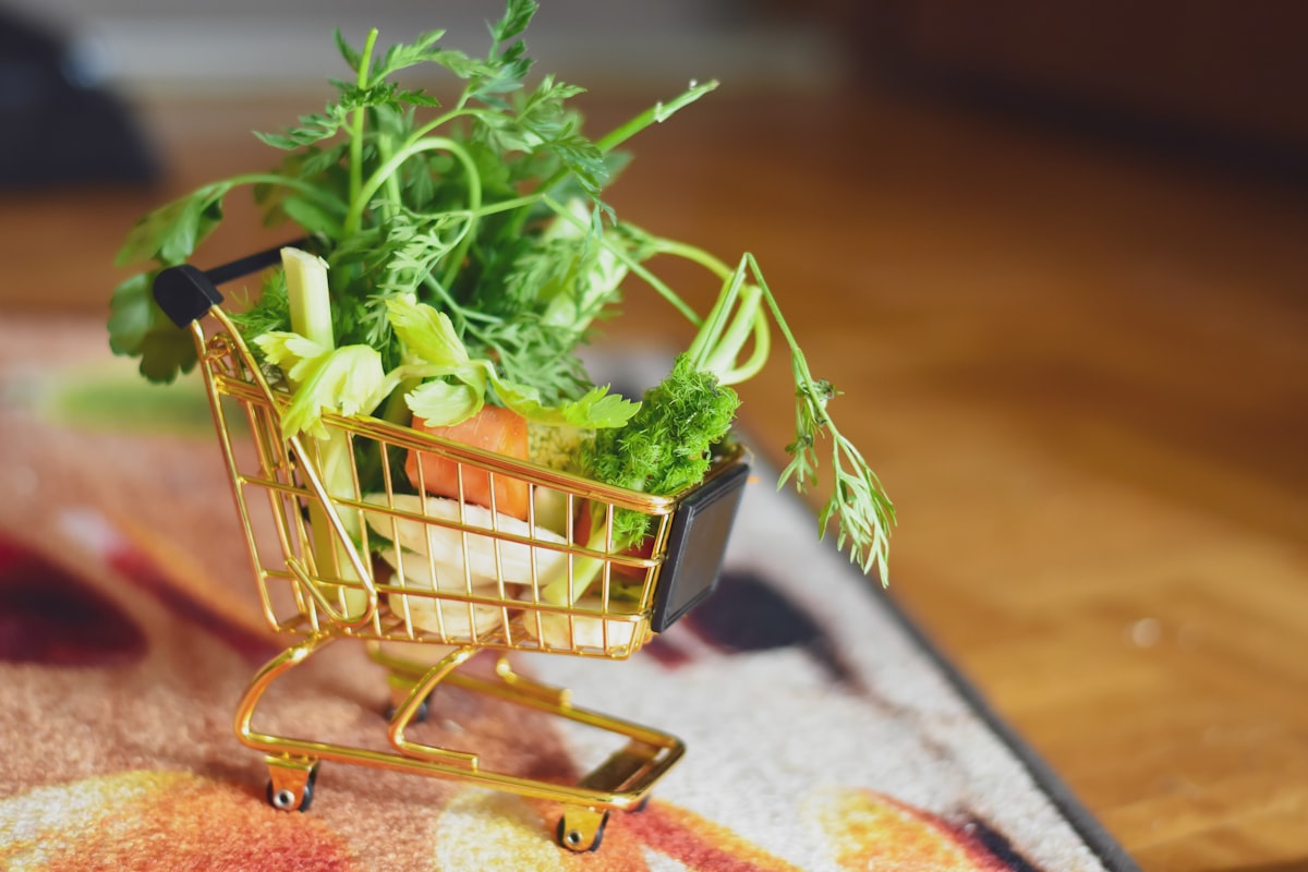 Frutas y verduras de temporada: Guía completa de selección