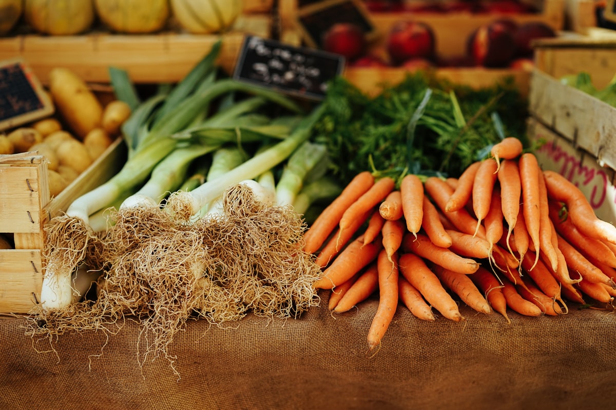 Proteínas de calidad: Carnes, pescados y alternativas vegetales